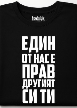 Едни от нас е прав, другият си ти тениска